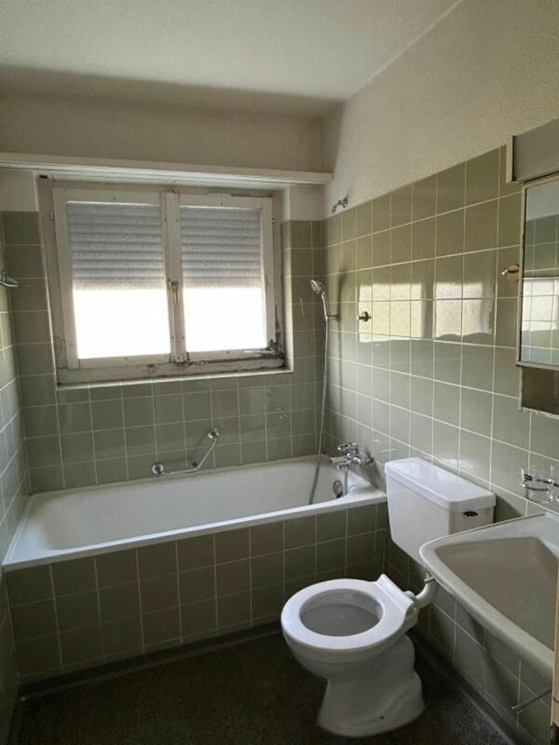 2½-Zimmerwohnung in Ebikon Kopie (5)