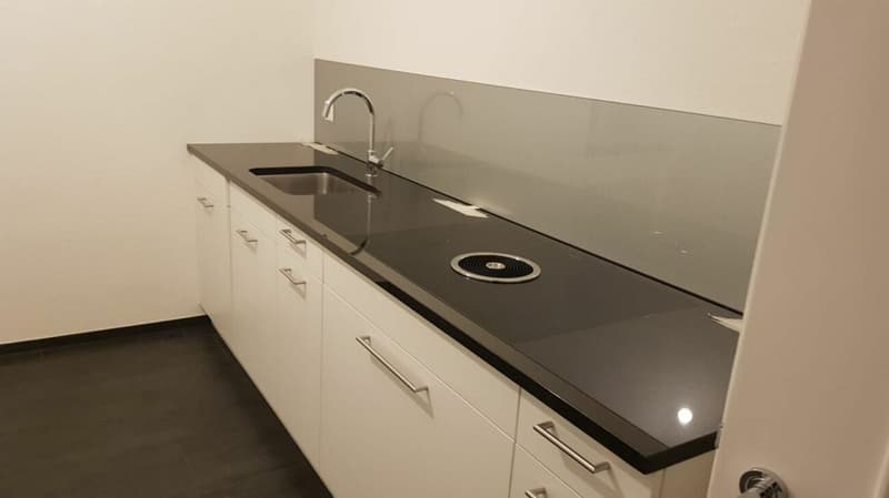 1½-Zimmerwohnung mit fantastischer Aussicht (4)
