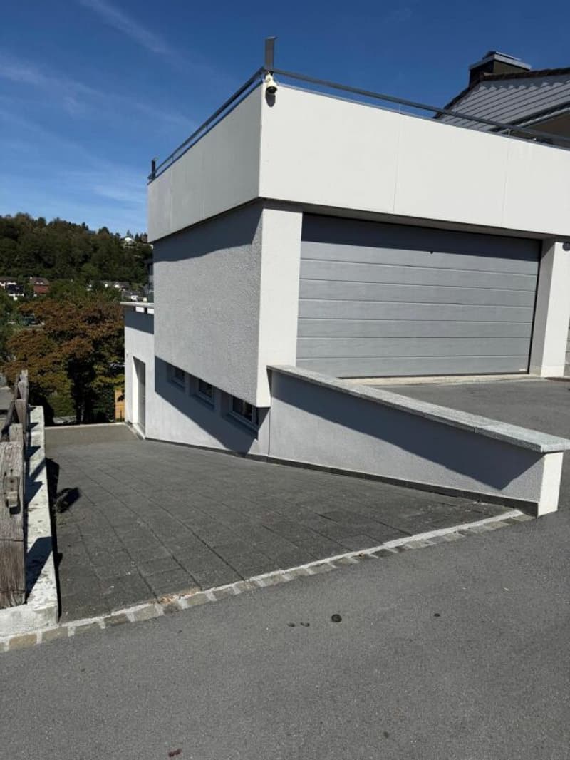 Vielseitiger Gewerberaum mit 2 Parkplätzen (6)