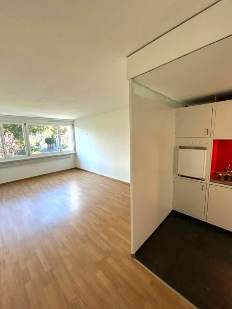 1-Zimmer-Appartement in Luzern (3)