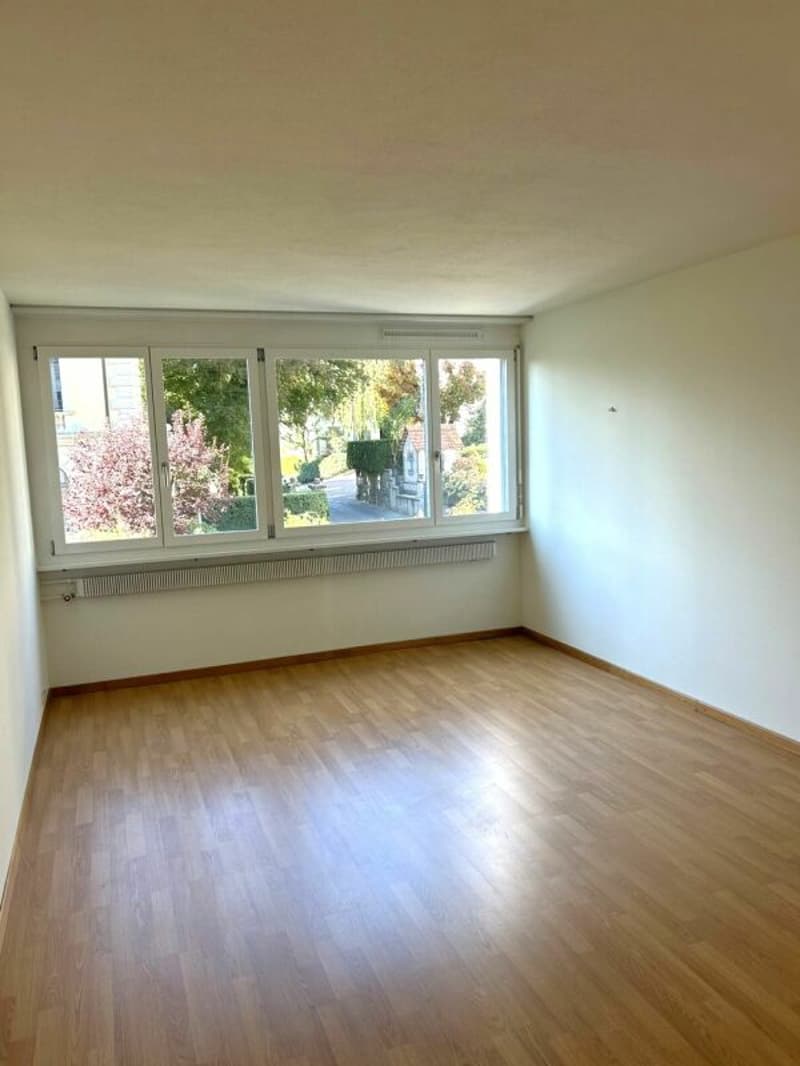 1-Zimmer-Appartement in Luzern (1)