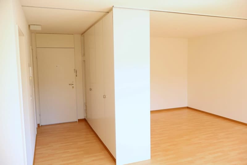 Zentrale 1.5-Zimmerwohnung in der Stadt Luzern (2)