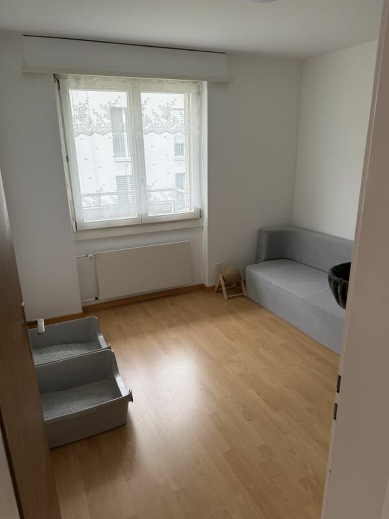 4.5-Zimmerwohnung nähe Altstadt Willisau (7)