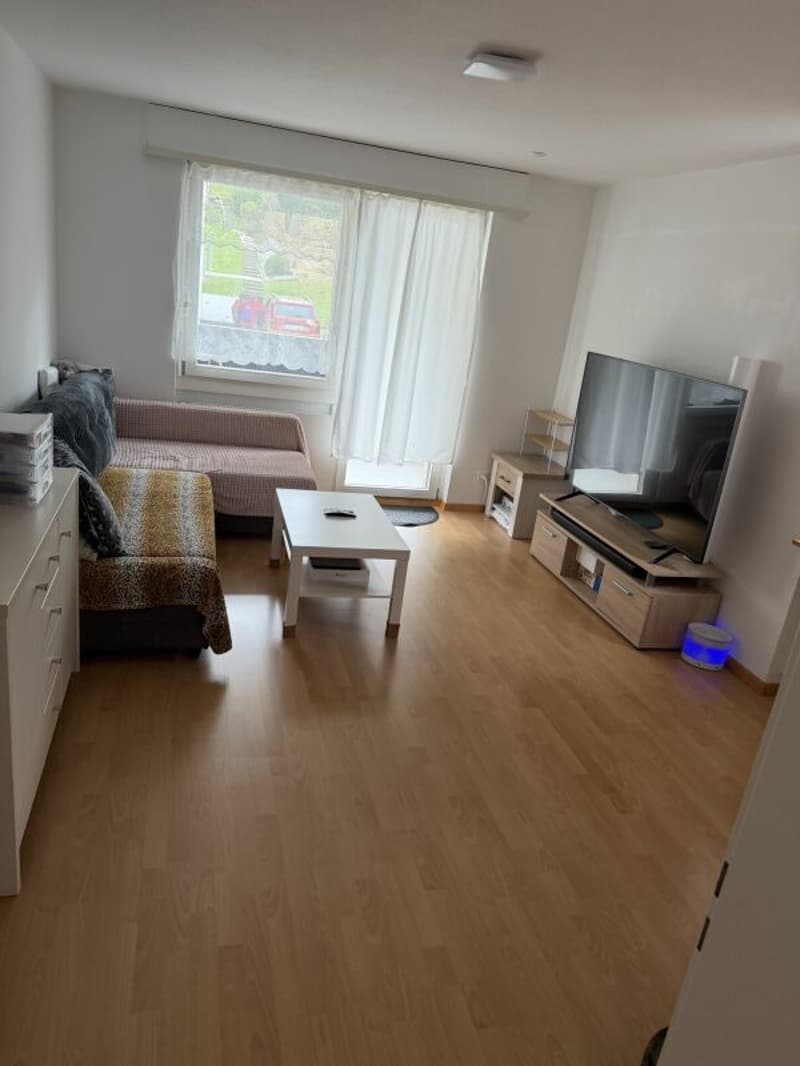 4.5-Zimmerwohnung nähe Altstadt Willisau (4)