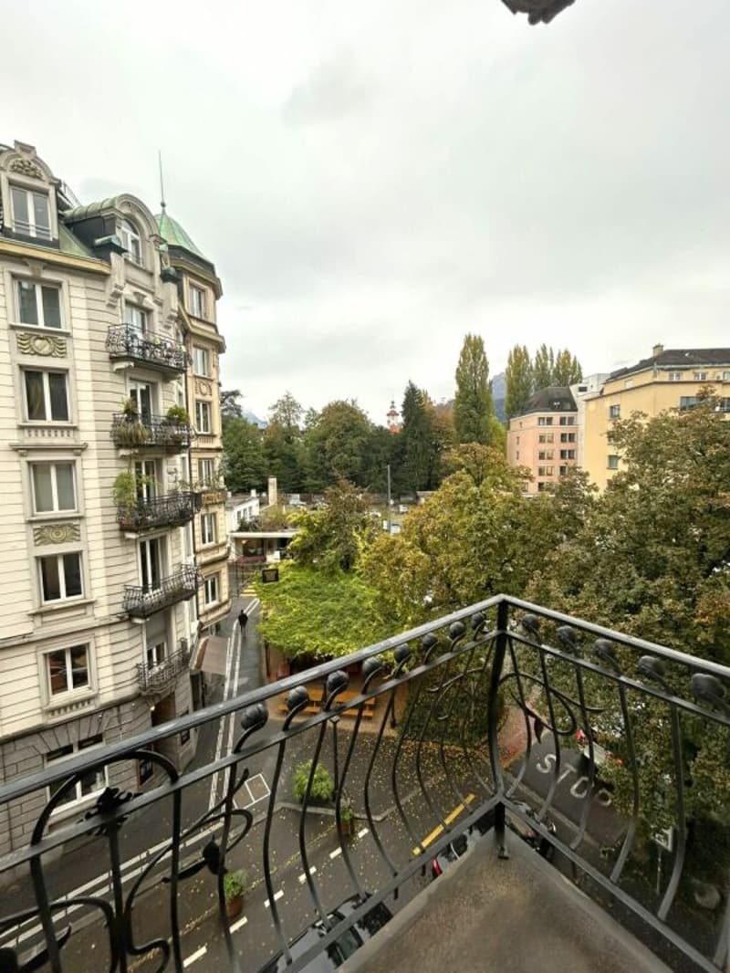 Befristetes Angebot 4-Zimmerwohnung in der Luzerner Neustadt (4)