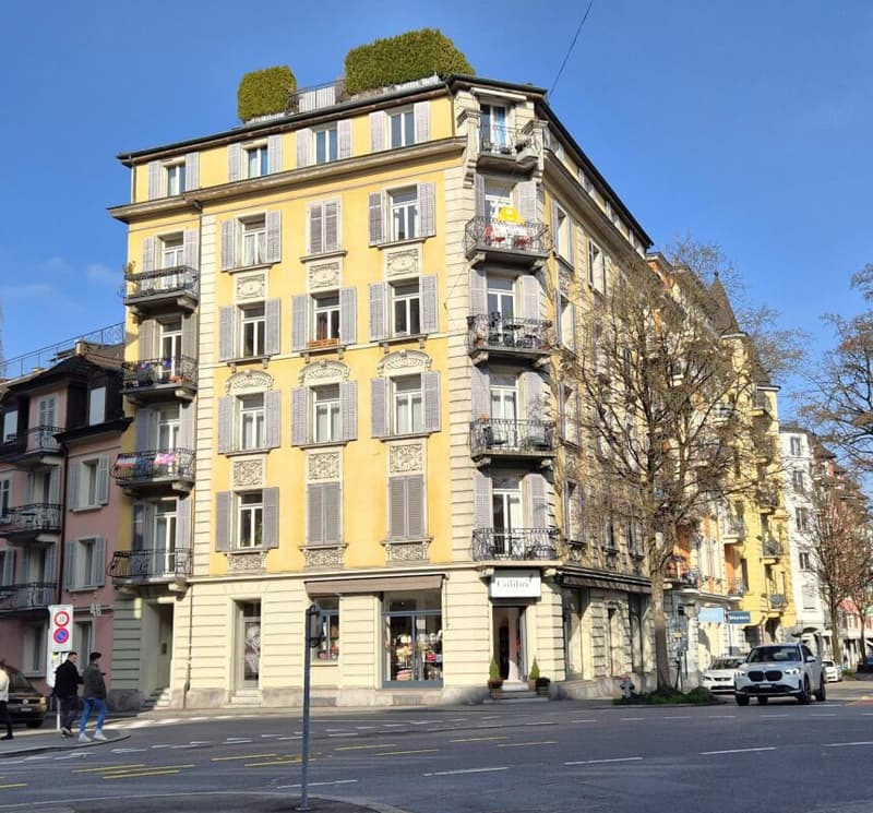 Befristetes Angebot 4-Zimmerwohnung in der Luzerner Neustadt (8)
