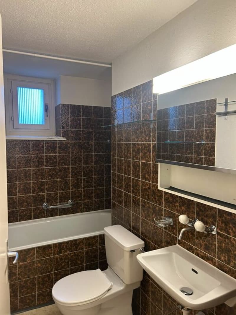 Befristetes Angebot 4-Zimmerwohnung in der Luzerner Neustadt (7)