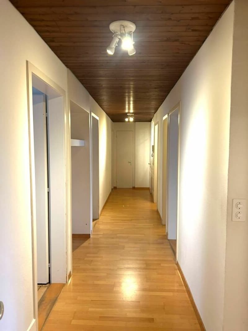 Befristetes Angebot 4-Zimmerwohnung in der Luzerner Neustadt (2)