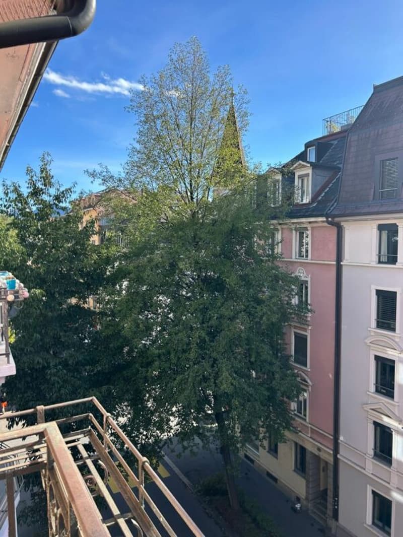 Befristetes Angebot 3.5-Zimmerwohnung in Luzern (6)