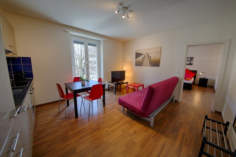 Moderne 4.5 Zimmer Wohnungen in Zürich Oerlikon (1)