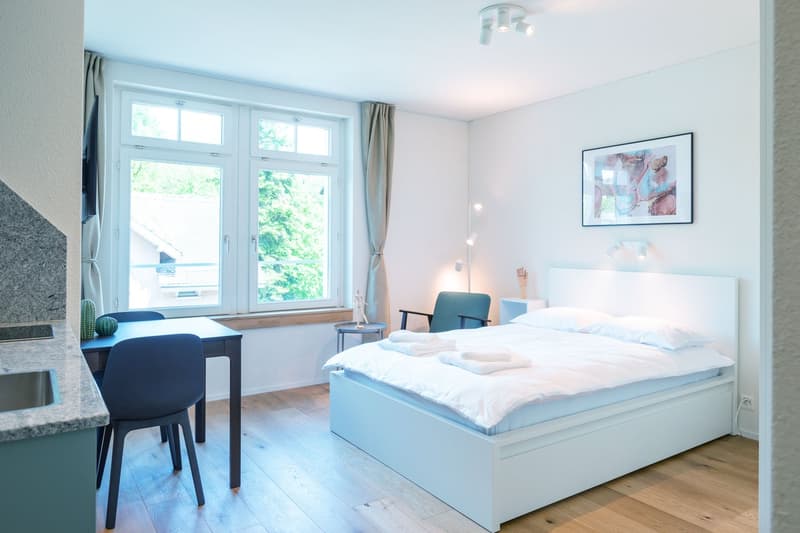 Brandneu! Möblierte 2-Zimmer Wohnung in Zürich Riesbach (1)