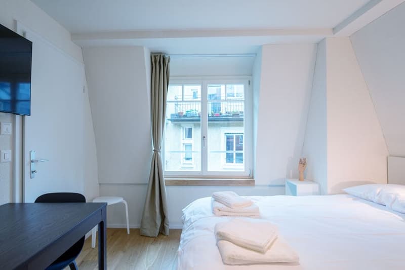 Wunderschönes möbliertes 1-Zimmer Studio in Zürich Riesbach (4)