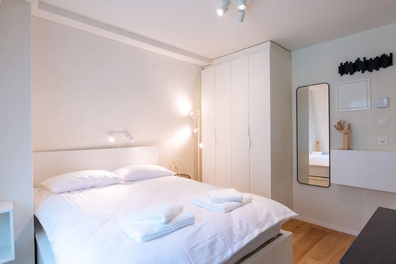 Wunderschönes möbliertes 1-Zimmer Studio in Zürich Riesbach (10)