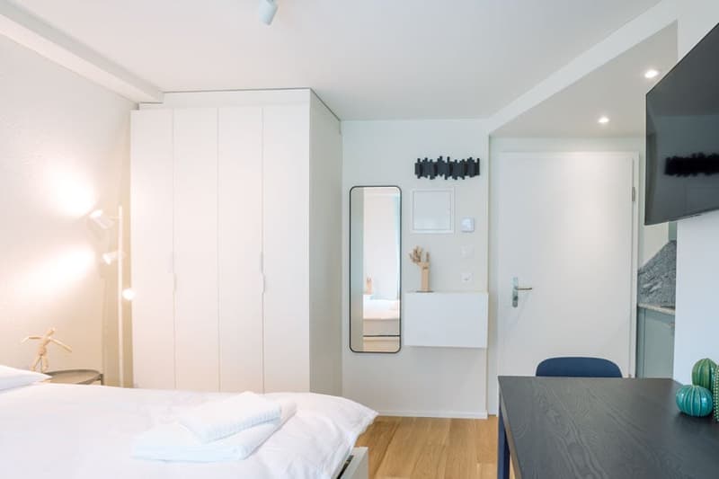 Wunderschönes möbliertes 1-Zimmer Studio in Zürich Riesbach (9)