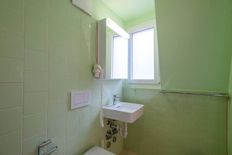 Wunderschönes möbliertes 1-Zimmer Studio in Zürich Riesbach (14)
