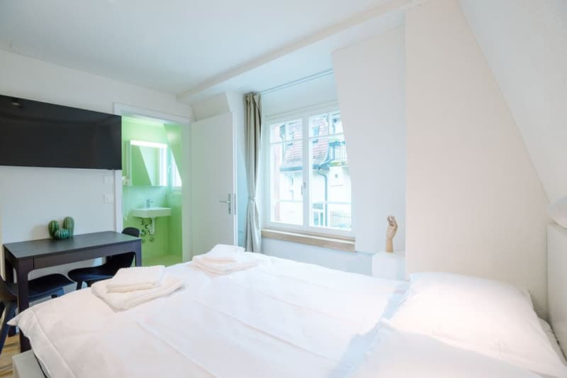 Wunderschönes möbliertes 1-Zimmer Studio in Zürich Riesbach (5)