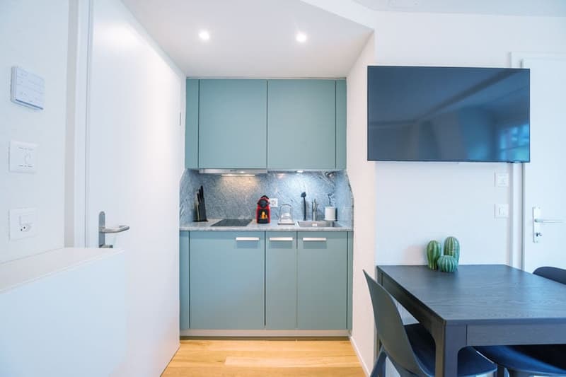 Wunderschönes möbliertes 1-Zimmer Studio in Zürich Riesbach (12)