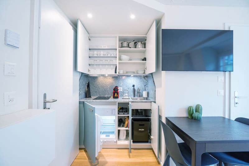 Wunderschönes möbliertes 1-Zimmer Studio in Zürich Riesbach (13)