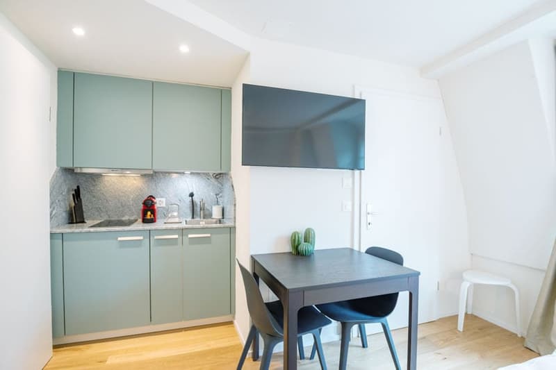 Wunderschönes möbliertes 1-Zimmer Studio in Zürich Riesbach (11)