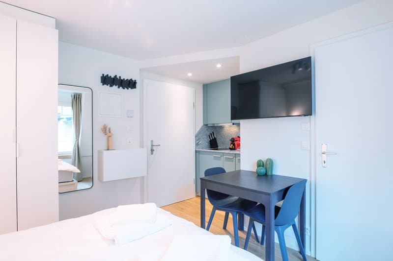 Wunderschönes möbliertes 1-Zimmer Studio in Zürich Riesbach (1)