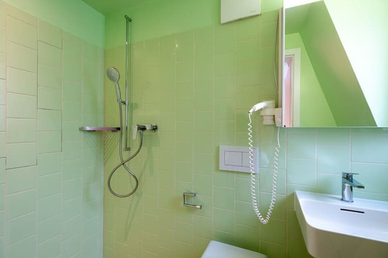 Wunderschönes möbliertes 1-Zimmer Studio in Zürich Riesbach (15)