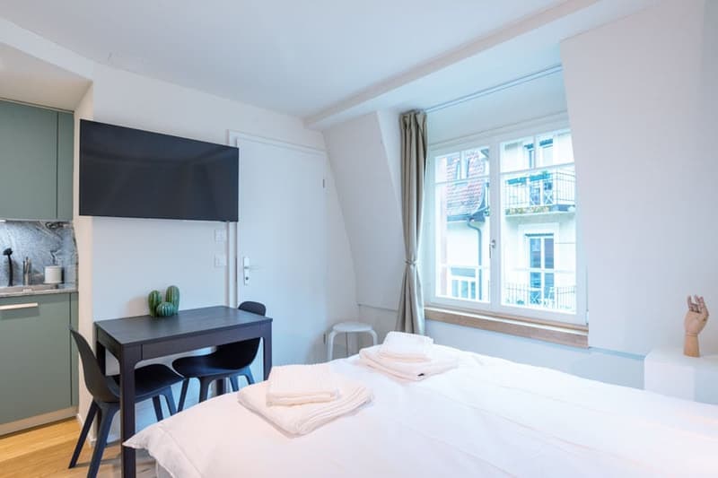 Wunderschönes möbliertes 1-Zimmer Studio in Zürich Riesbach (3)