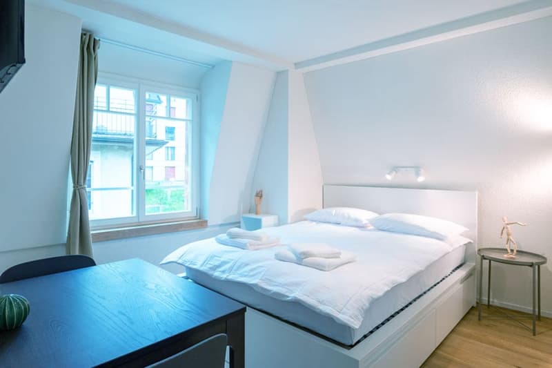 Wunderschönes möbliertes 1-Zimmer Studio in Zürich Riesbach (2)