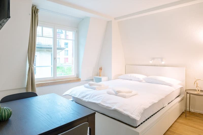 Wunderschönes möbliertes 1-Zimmer Studio in Zürich Riesbach (8)