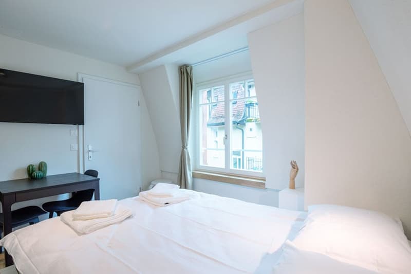 Wunderschönes möbliertes 1-Zimmer Studio in Zürich Riesbach (6)
