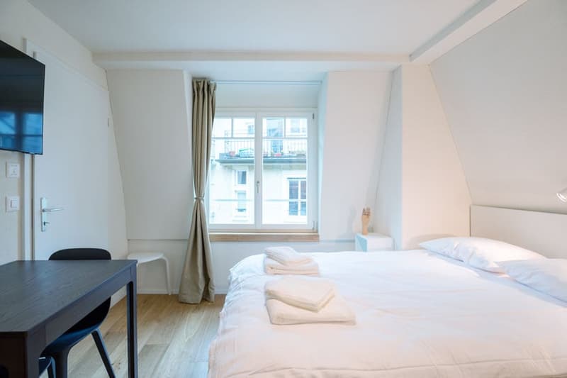 Wunderschönes möbliertes 1-Zimmer Studio in Zürich Riesbach (7)