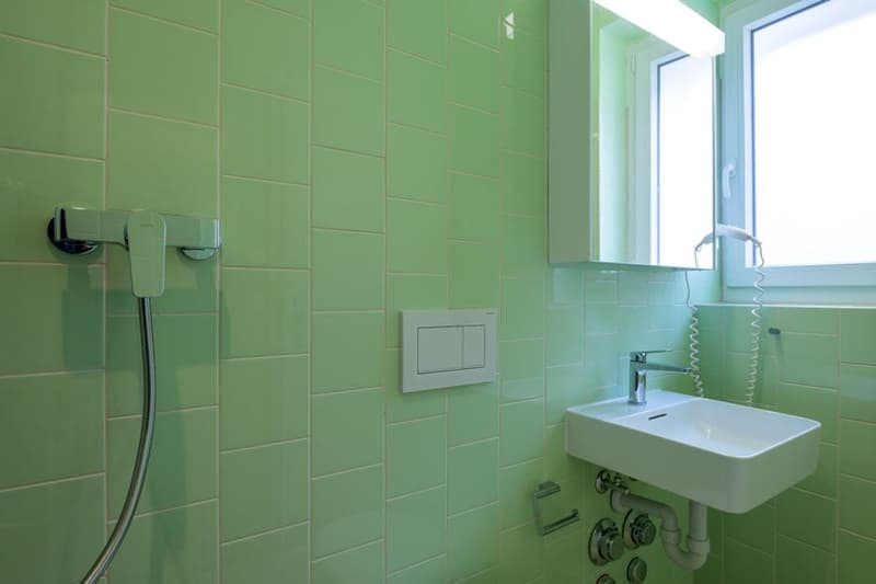 Charmantes Studio-Apartment mit Balkon in Zürich-Seefeld (14)