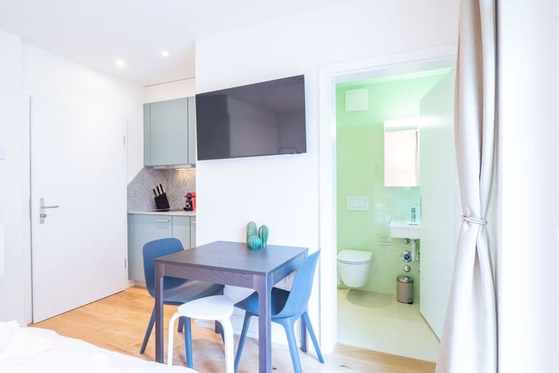 Charmantes Studio-Apartment mit Balkon in Zürich-Seefeld (8)