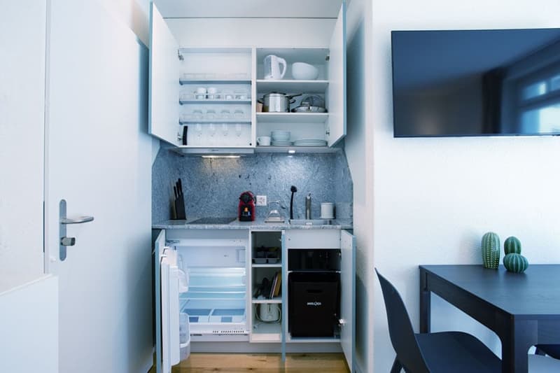 Charmantes Studio-Apartment mit Balkon in Zürich-Seefeld (11)