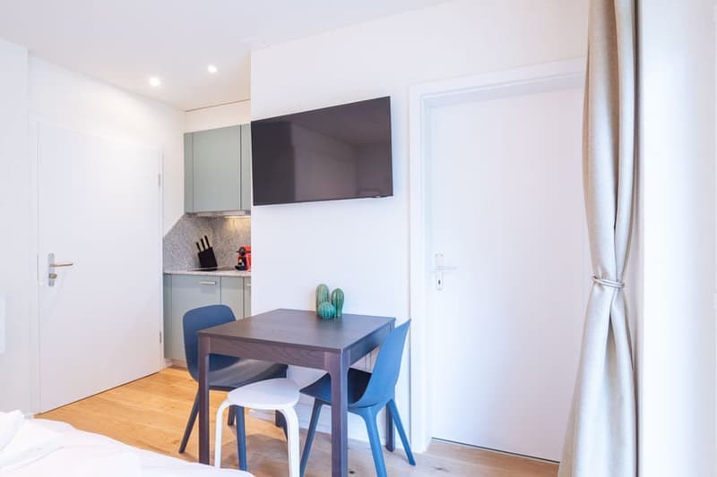 Charmantes Studio-Apartment mit Balkon in Zürich-Seefeld (7)