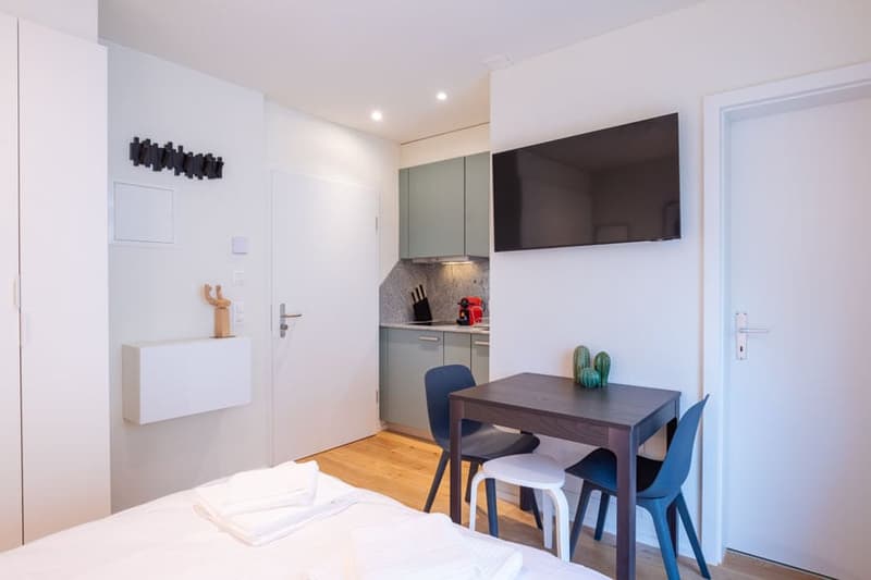 Charmantes Studio-Apartment mit Balkon in Zürich-Seefeld (5)