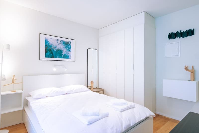 Charmantes Studio-Apartment mit Balkon in Zürich-Seefeld (3)