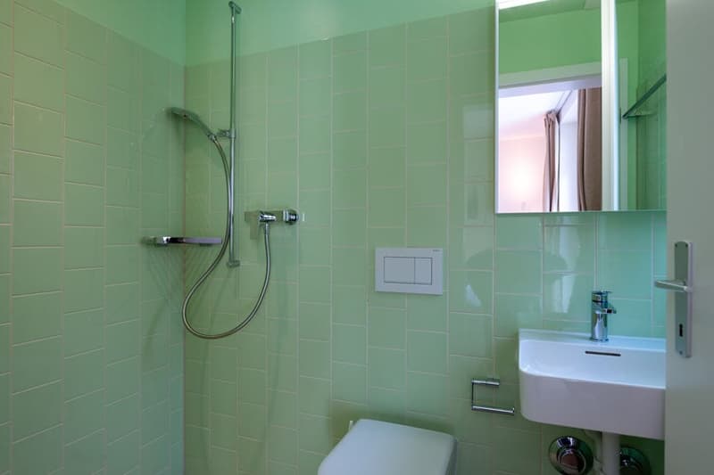 Charmantes Studio-Apartment mit Balkon in Zürich-Seefeld (13)