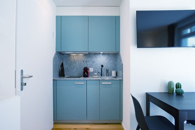 Charmantes Studio-Apartment mit Balkon in Zürich-Seefeld (12)