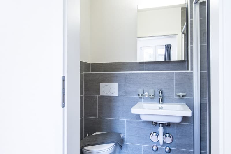 The image shows a modern bathroom with gray tile walls, a white sink and toilet, and a mirror above the sink. The bathroom appears to be clean and well-maintained.