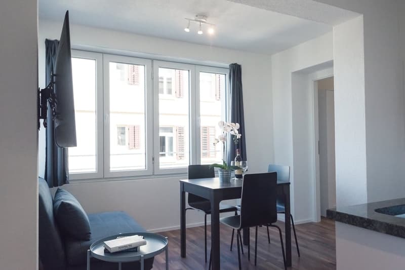 Moderne möblierte 2-Zimmerwohnungen in Zürich Wiedikon (2)