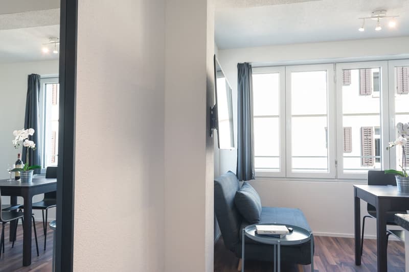 Moderne möblierte 2-Zimmerwohnungen in Zürich Wiedikon (3)