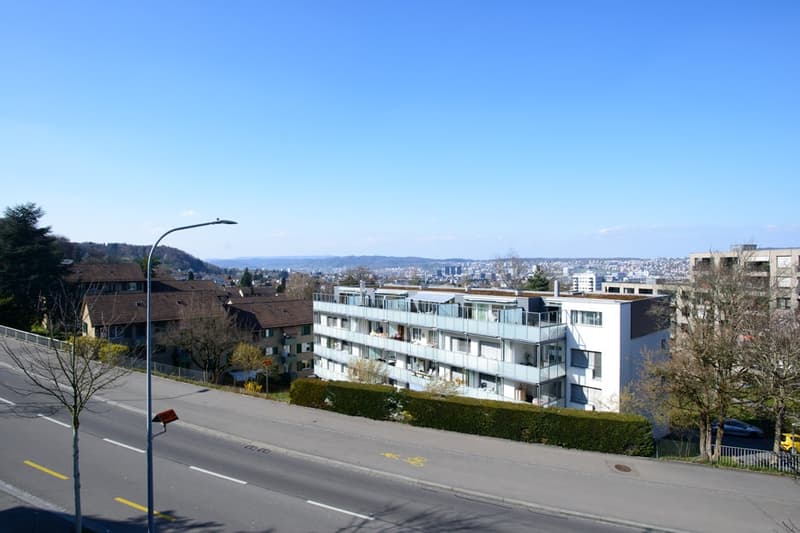 Moderne möblierte 2-Zimmerwohnungen in Zürich Wiedikon (20)
