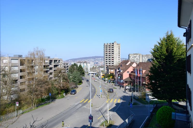 Moderne möblierte 2-Zimmerwohnungen in Zürich Wiedikon (19)