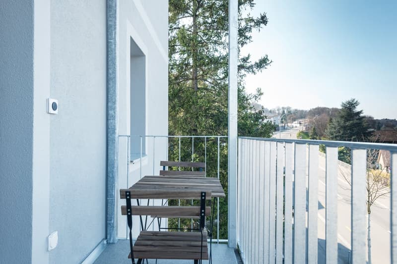 Moderne möblierte 2-Zimmerwohnungen in Zürich Wiedikon (18)
