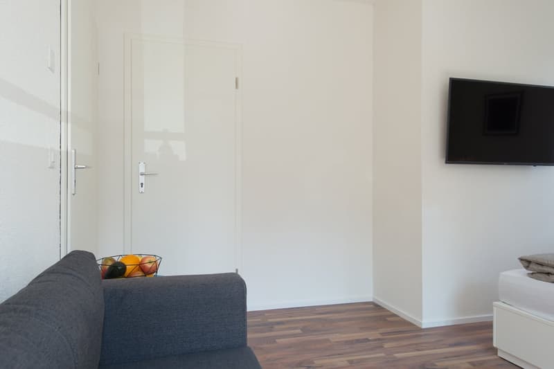 Charmantes möbliertes 1.5-Zimmer Studio beim Triemli (10)