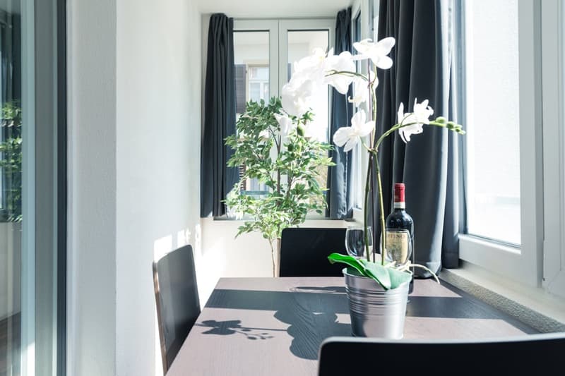Charmantes möbliertes 1.5-Zimmer Studio beim Triemli (15)
