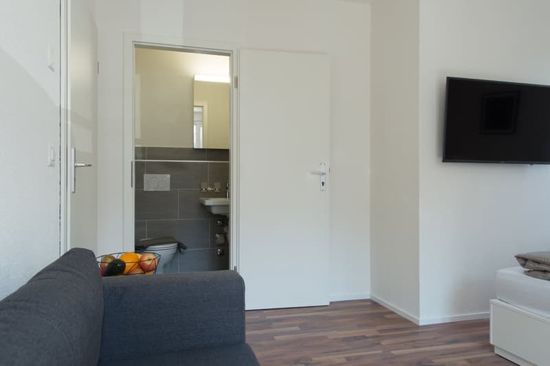 Charmantes möbliertes 1.5-Zimmer Studio beim Triemli (9)