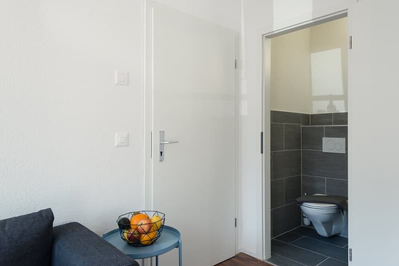 Charmantes möbliertes 1.5-Zimmer Studio beim Triemli (19)