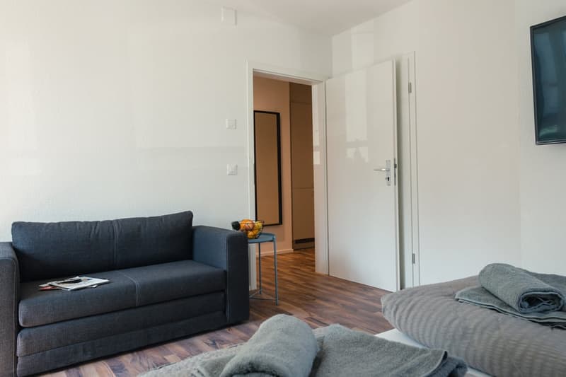 Charmantes möbliertes 1.5-Zimmer Studio beim Triemli (8)
