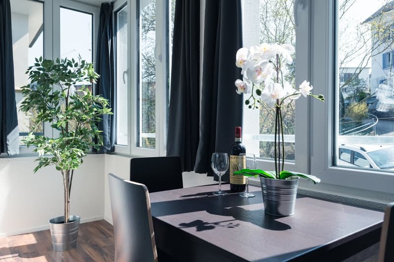Charmantes möbliertes 1.5-Zimmer Studio beim Triemli (16)